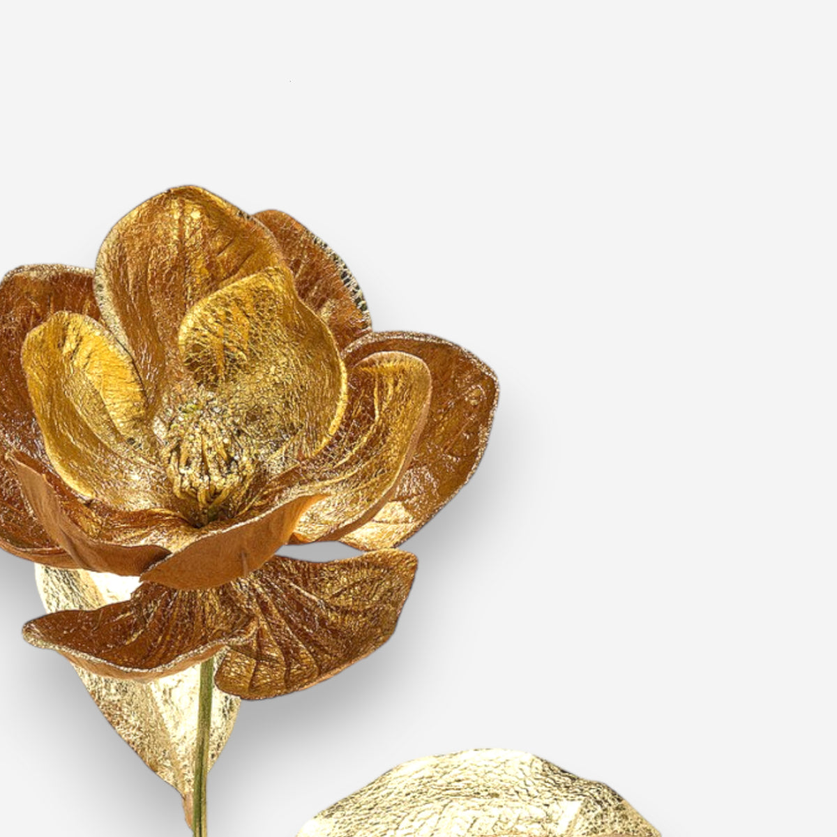 Kunstblume, Dekoblume Magnolienzweig Gold H 74cm | Magnolia, Ansicht 3